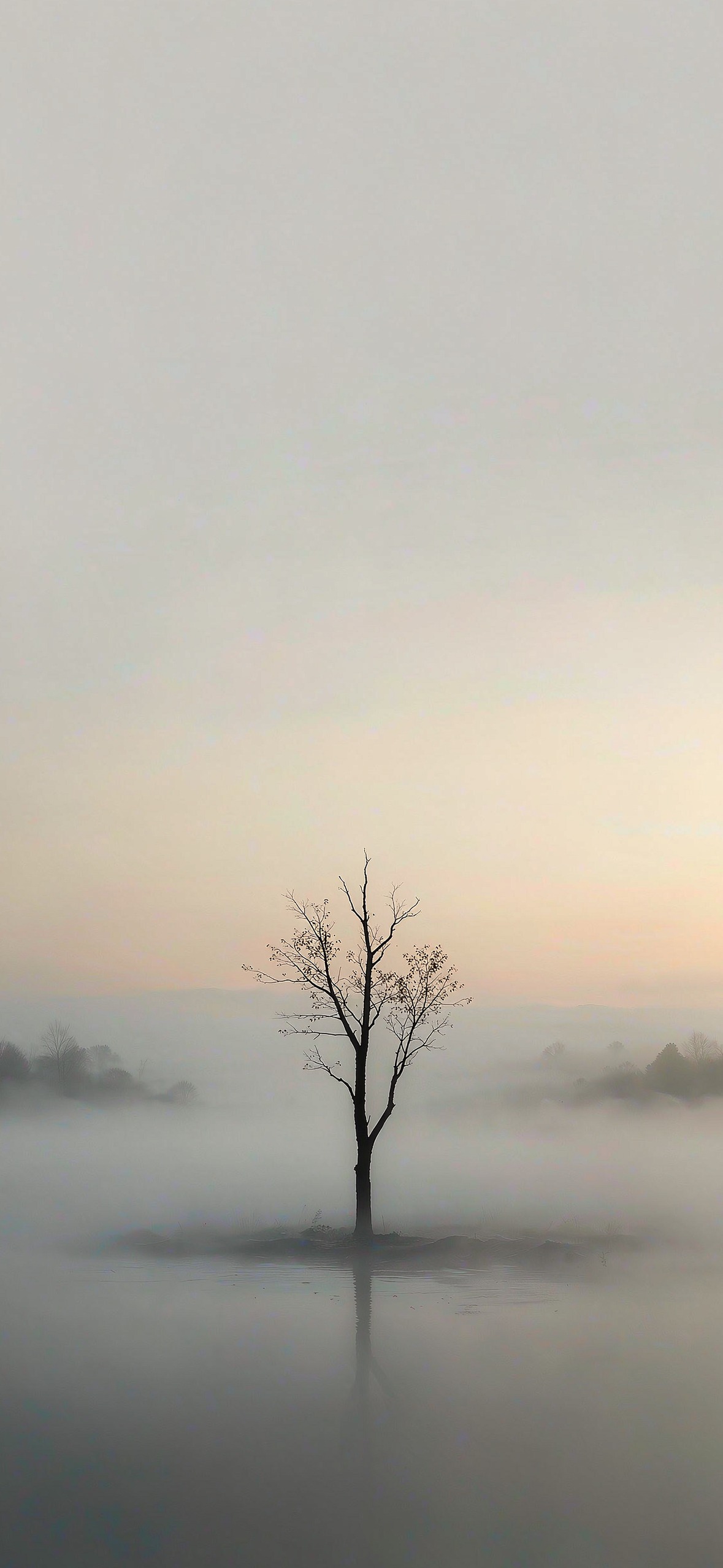 晨雾孤树 · 1179×2556 手机壁纸