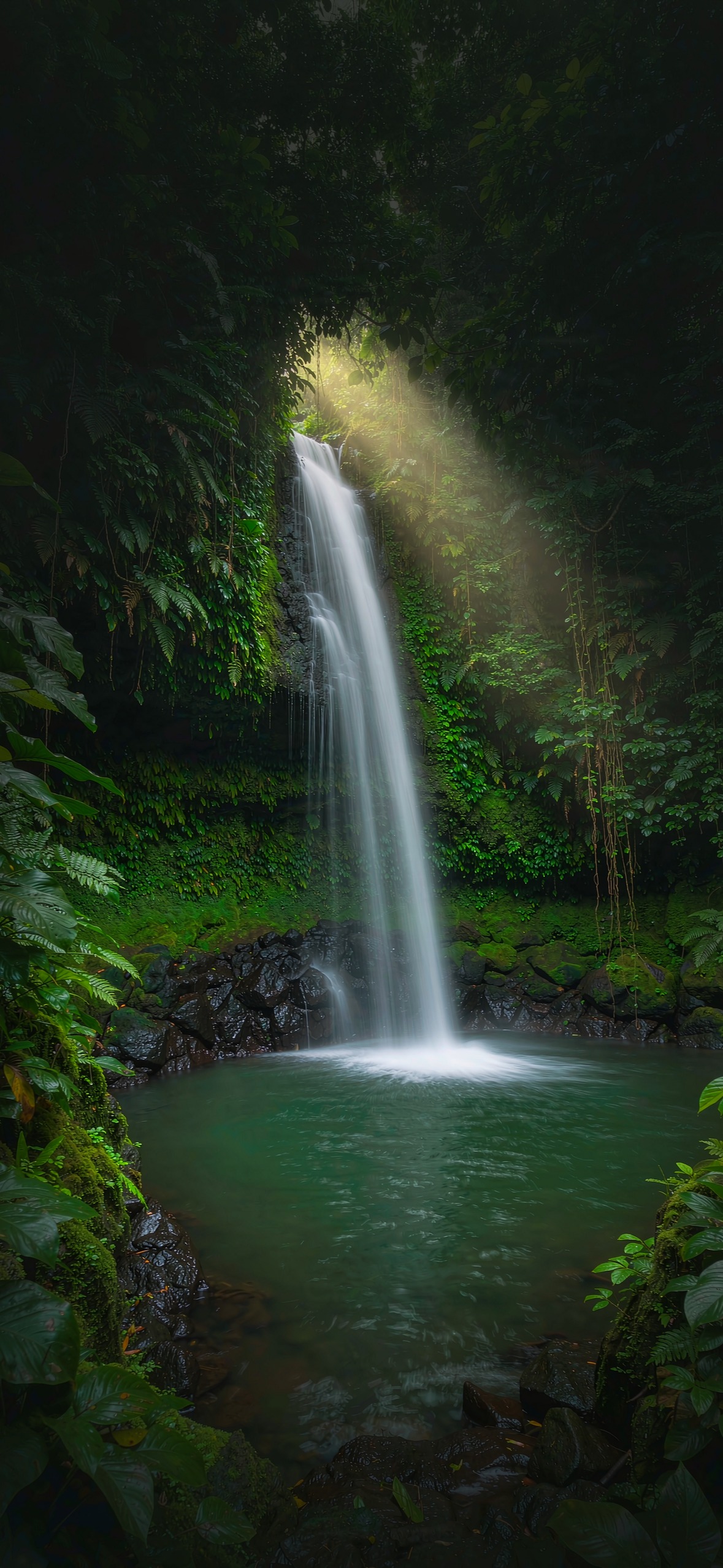 雨林飞瀑 · 1179×2556 风景壁纸